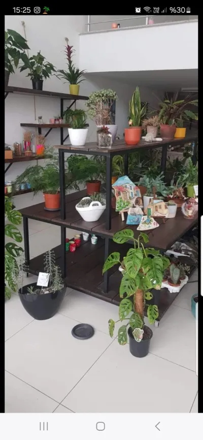 Stand