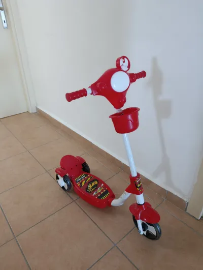 Scoter