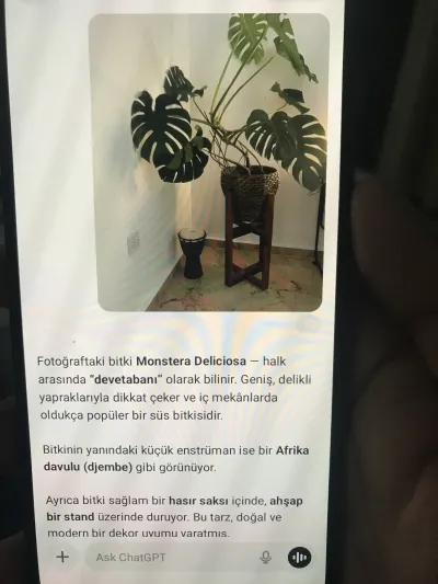 Şık Bir Köşe Detaylar Fotoğraf Da Mevcut
