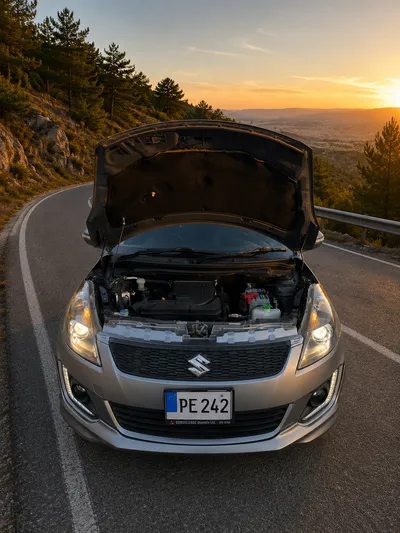 Suzuki Swift Rs (2014)