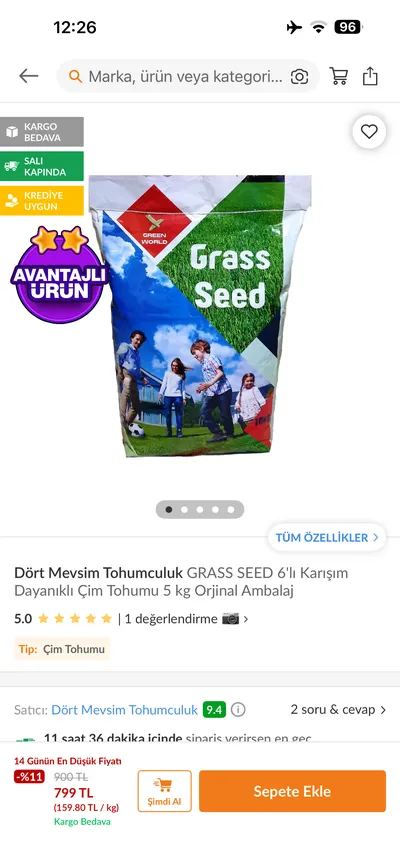 Çim Tohumu