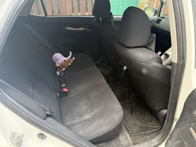 Auris Araba