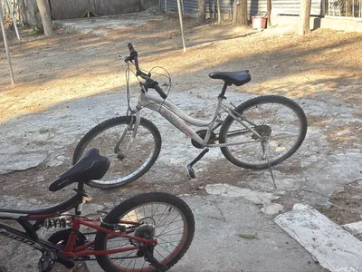 Beyaz Yetişkin Bisiklet