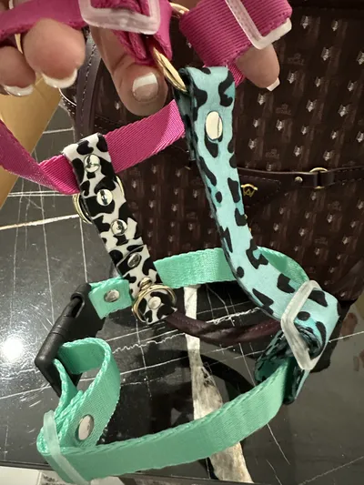 Köpek Göğüs Tasması